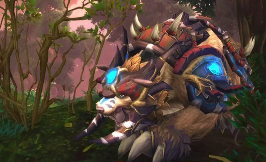 WoW TBC Classic The fastest bear of Azeroth