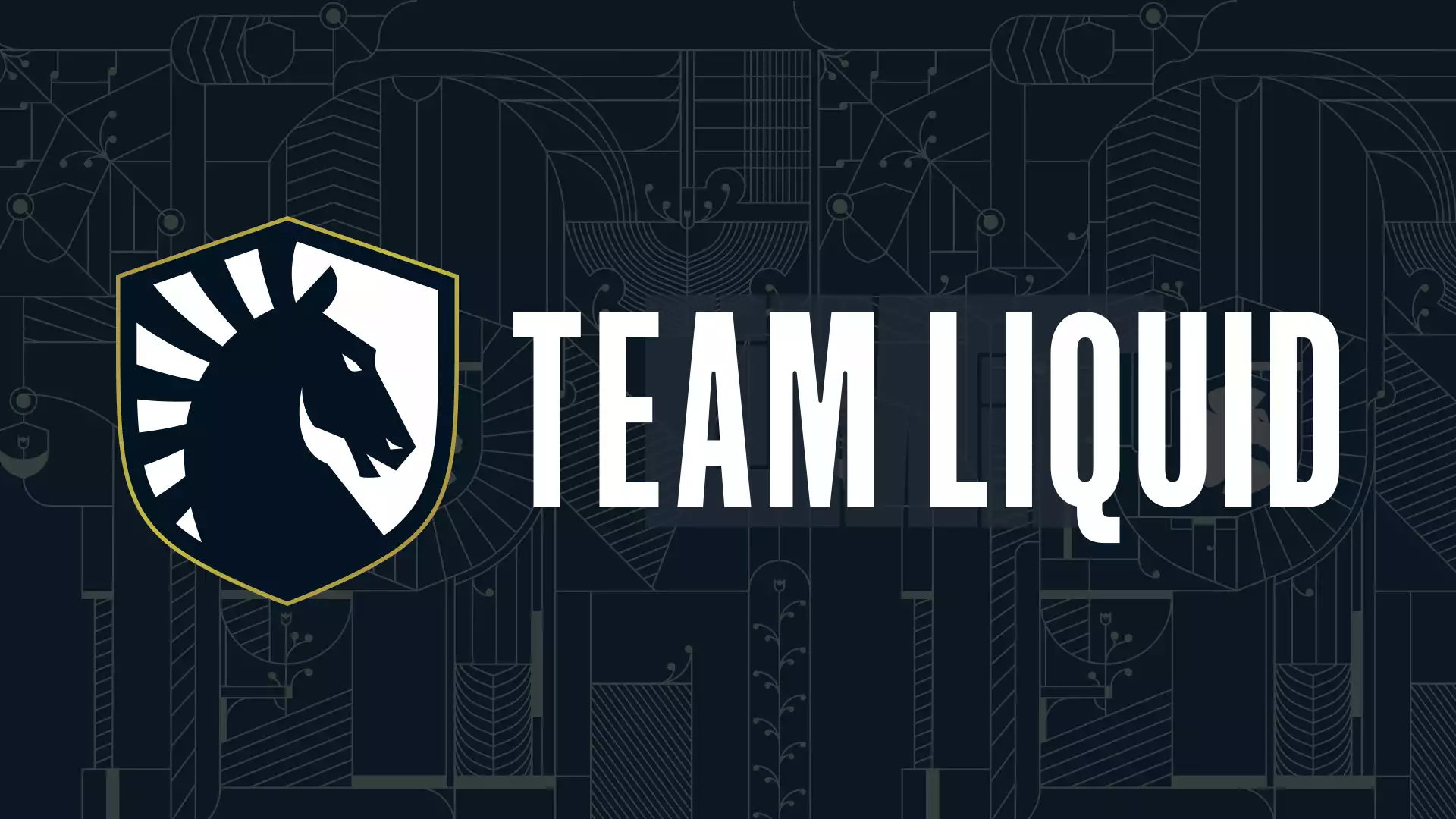 US top guild Limit joins Team Liquid