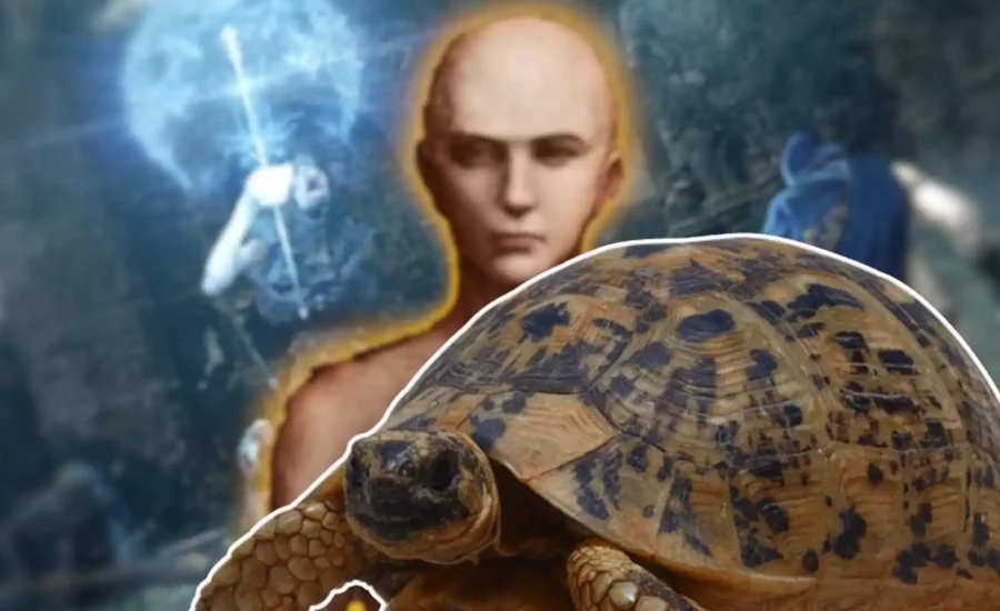 Player lives in #EldenRing as a turtle because the #game became too hard for him