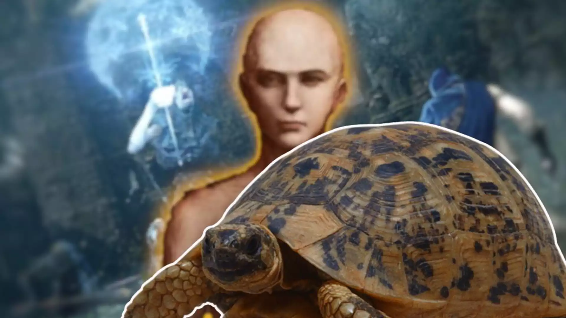 Player lives in #EldenRing as a turtle because the #game became too hard for him