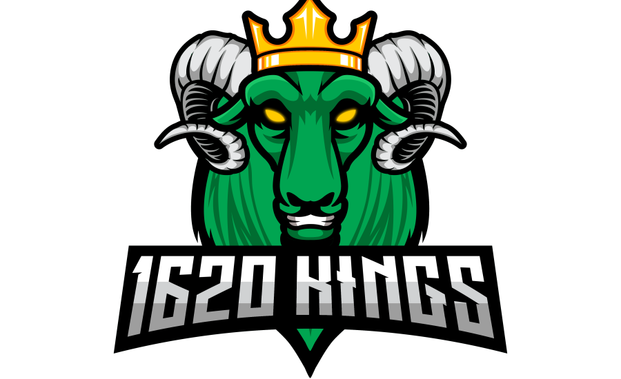 Counter Strike CSGO - Team 1620 Kings