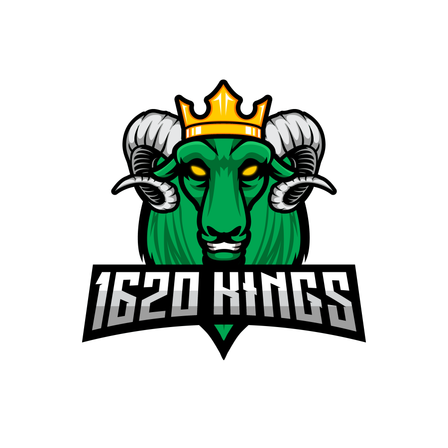 Counter Strike CSGO - Team 1620 Kings