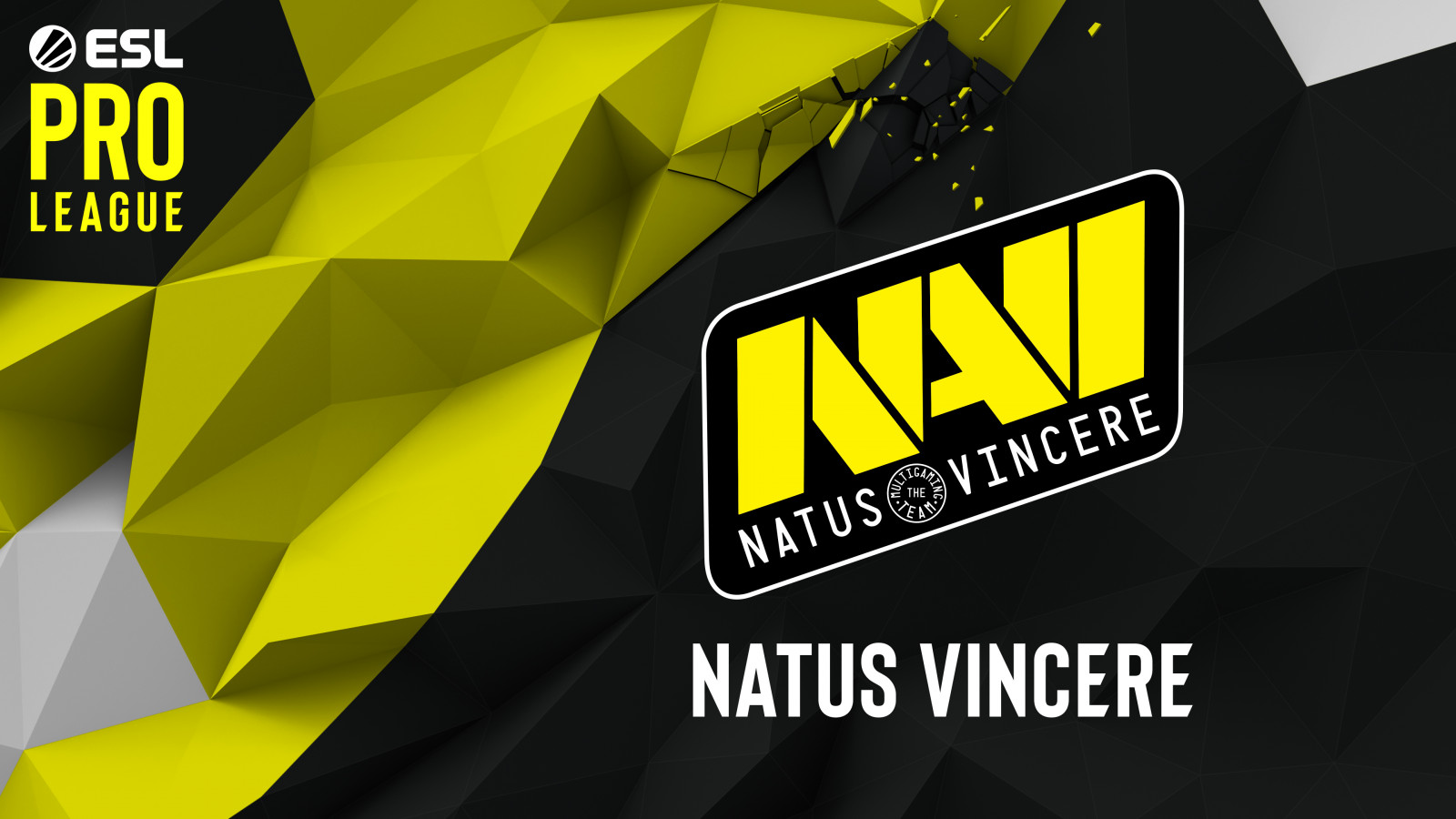 Counter Strike CSGO - Team NaVi