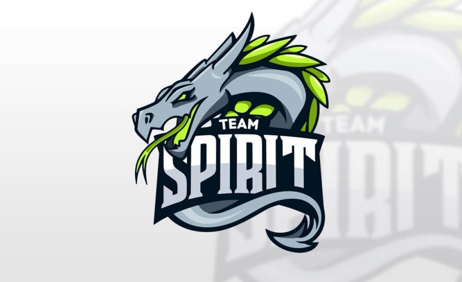 Counter Strike CSGO - Team Spirit
