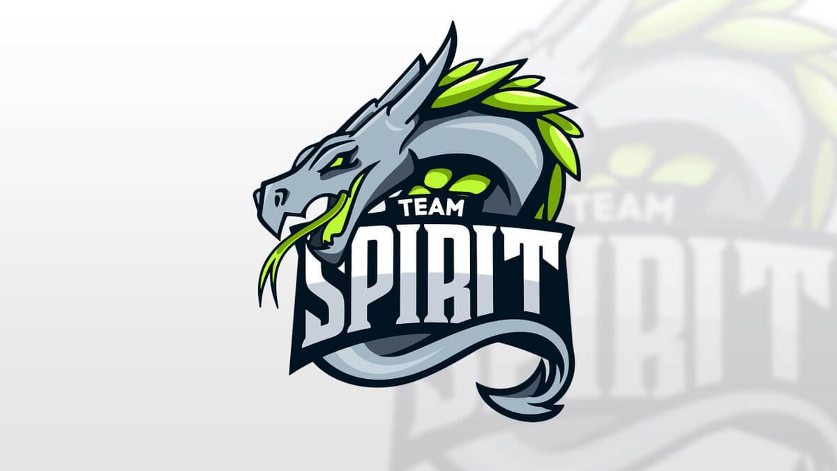 Counter Strike CSGO - Team Spirit