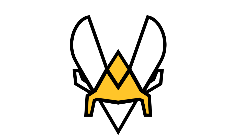 Counter Strike CSGO - Team Vitality