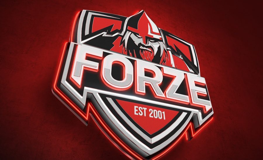 Counter Strike CSGO - Team forZe