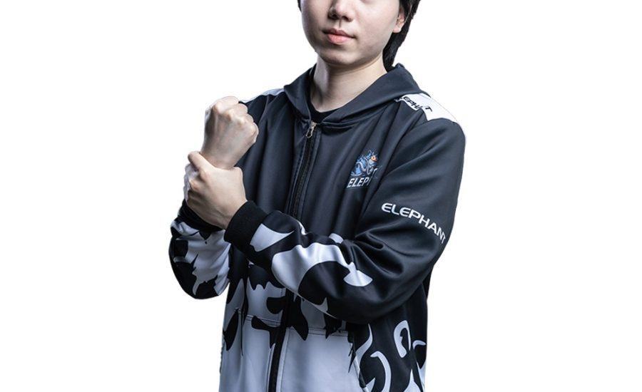 Dota 2 Player - Eurus - Zhang Chengjun