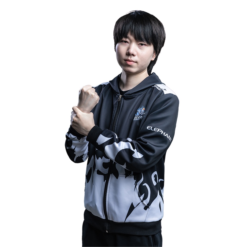 Dota 2 Player - Eurus - Zhang Chengjun