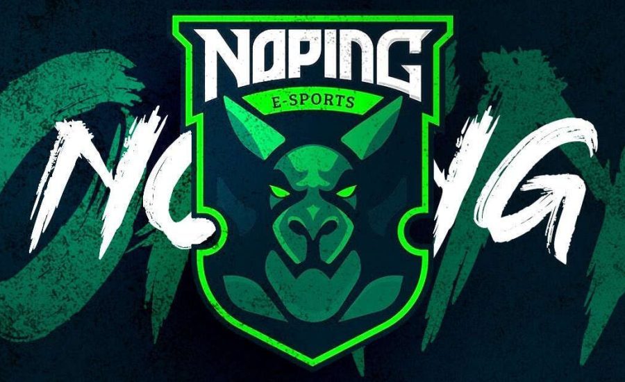 Dota-2-Teams-NoPing-eSports.