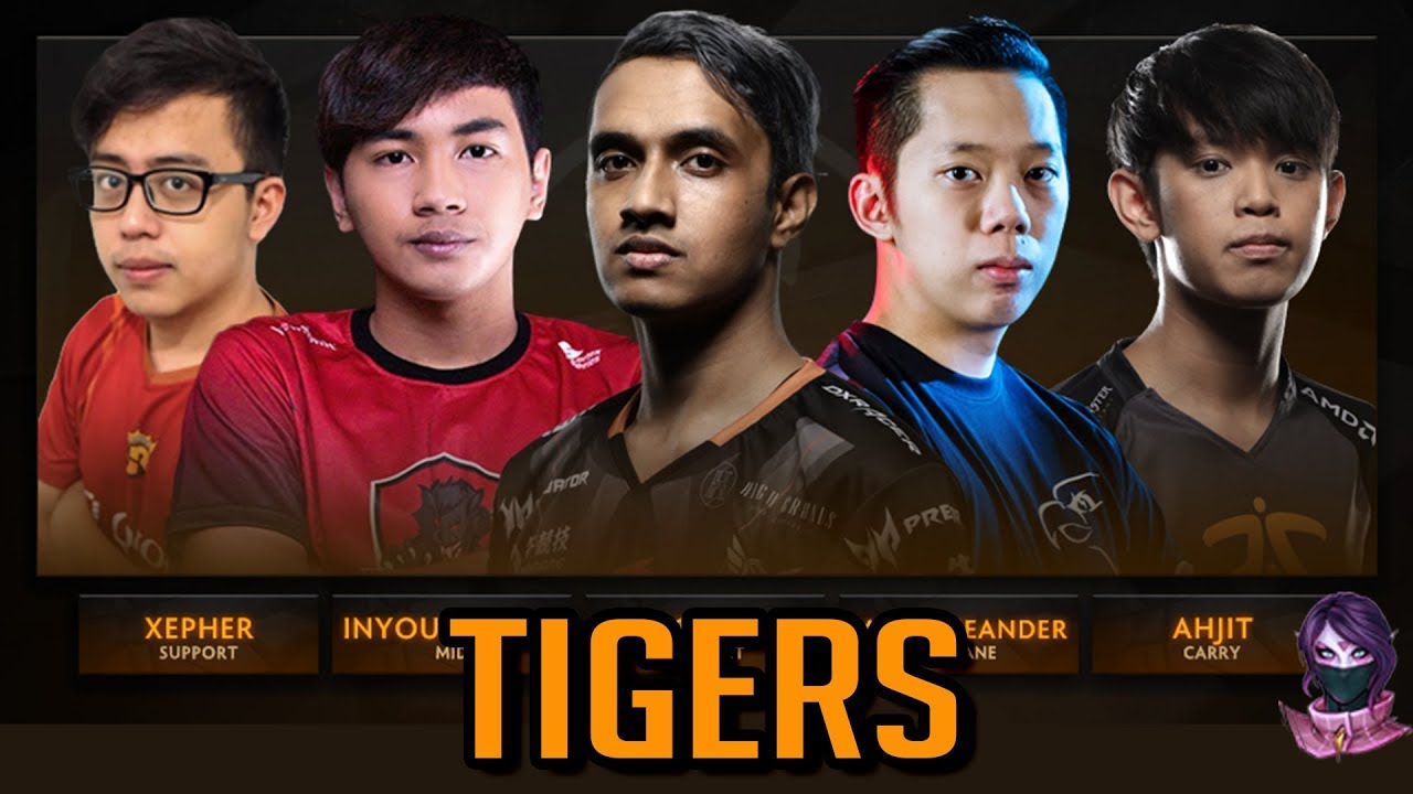 Dota-2-Teams-Tigers