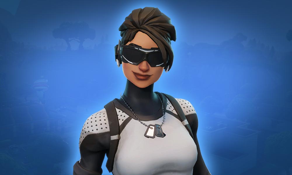 Fortnite Skins – Arctic Mission