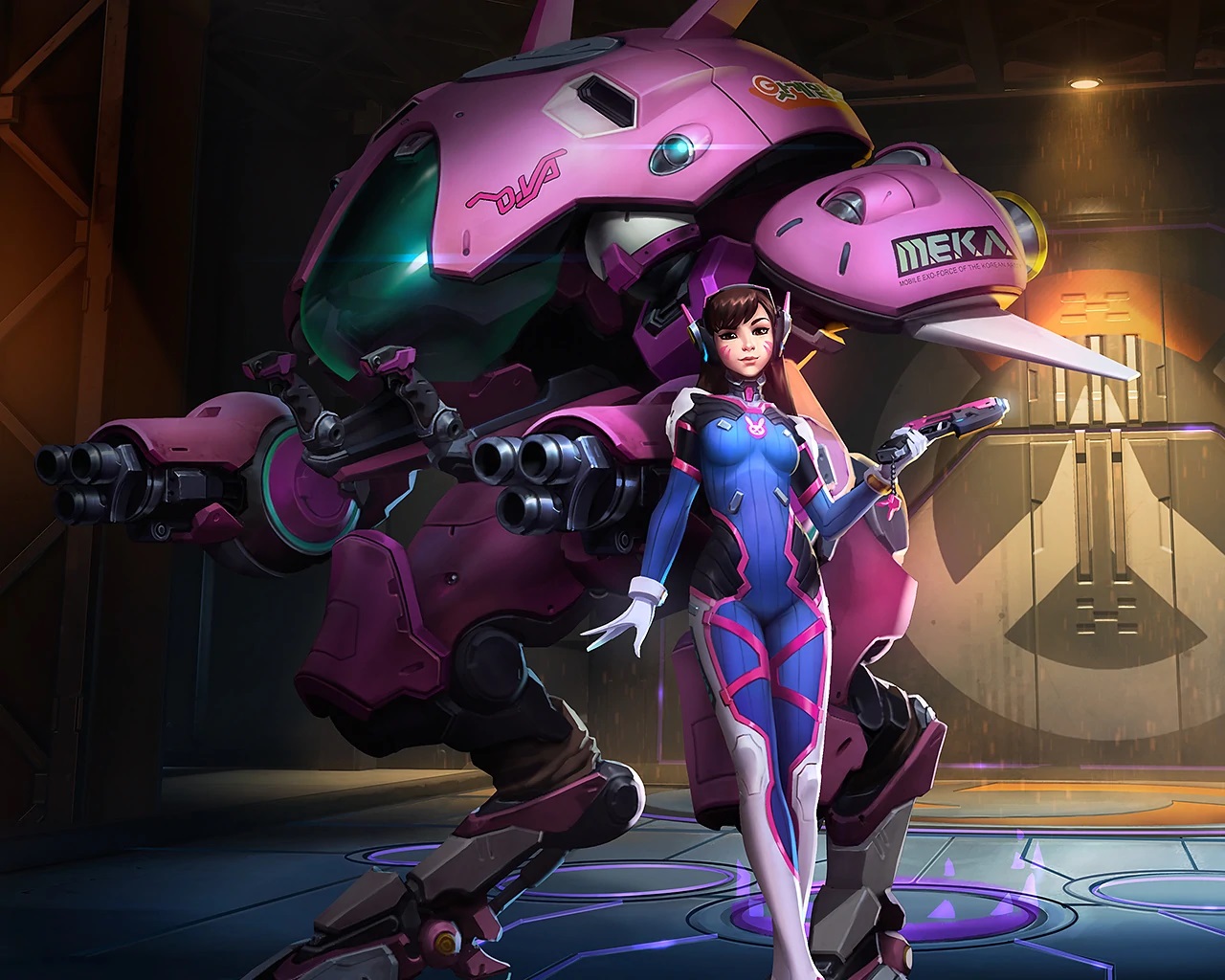 Overwatch Heroes - D.Va