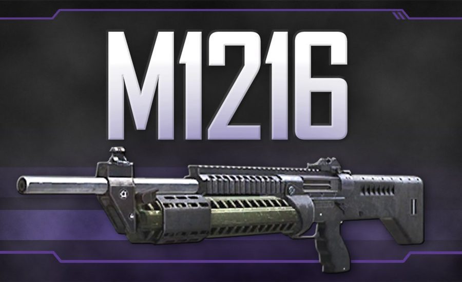 Weapons Call of Duty-M1216