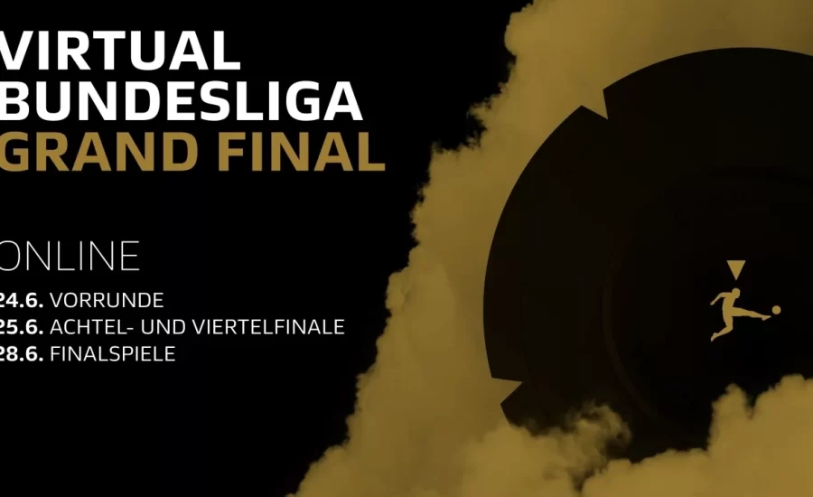 VBL Grand Final takes place online at the end of June