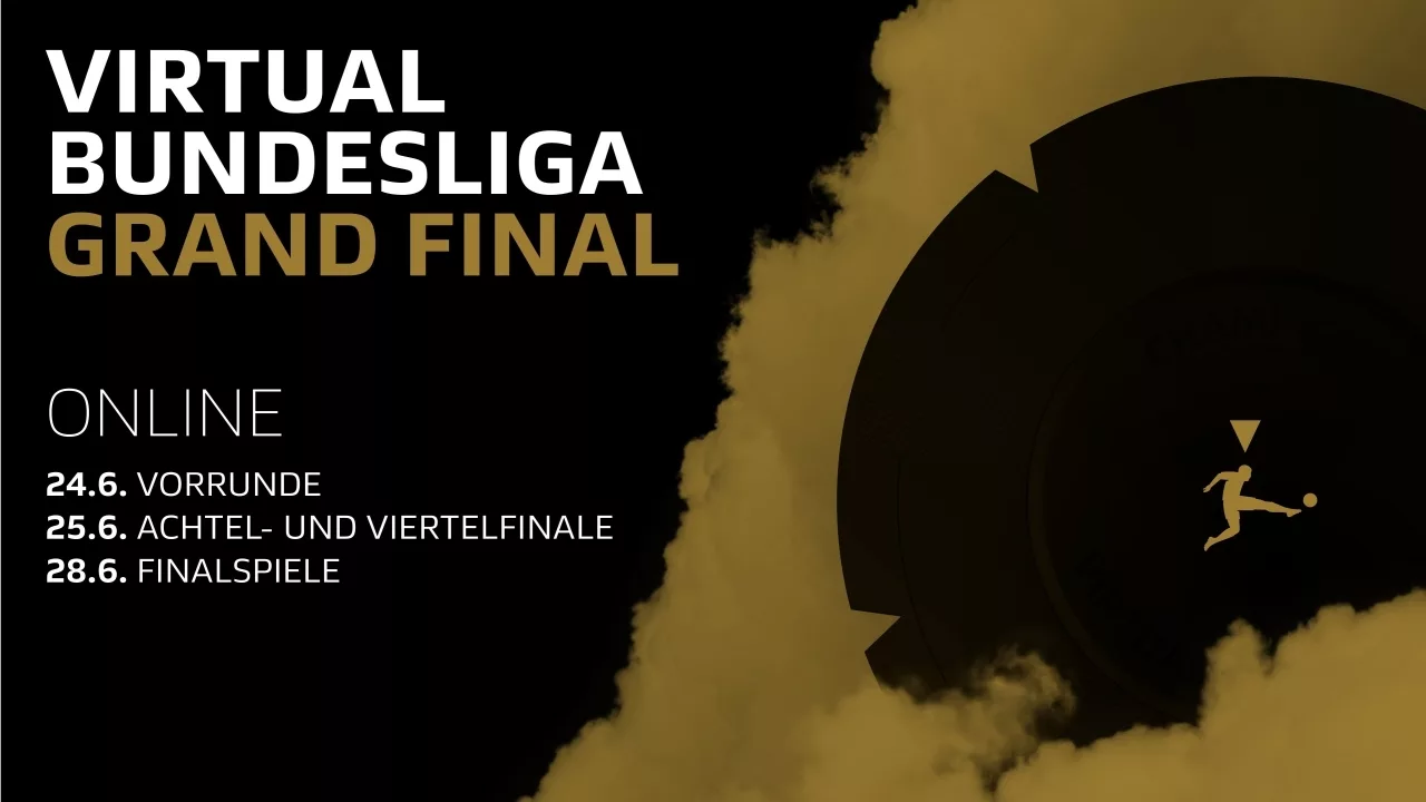 VBL Grand Final takes place online at the end of June