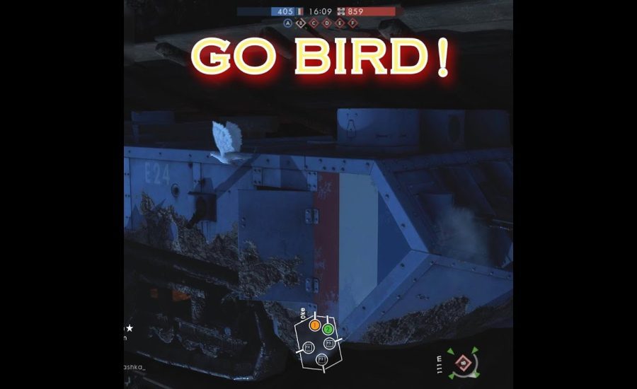 BF1 RELEASE THE PIGEON