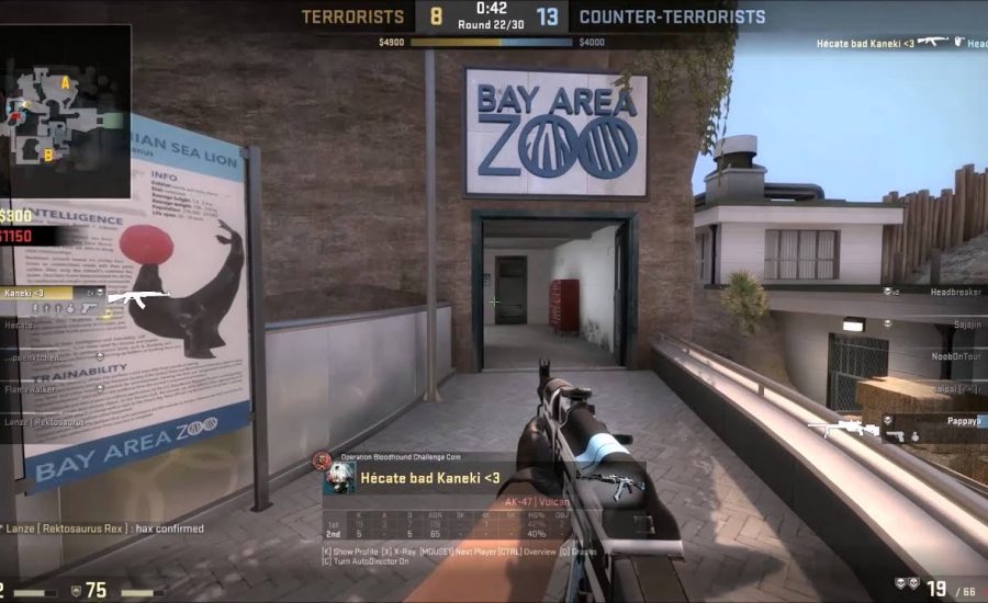 CS:GO - Hacks confirmed Kappa