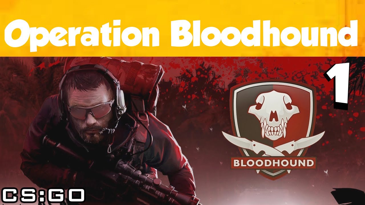 Counter Strike: Global Offensive ep: 19||| OPERATION BLOODHOUND ep.1