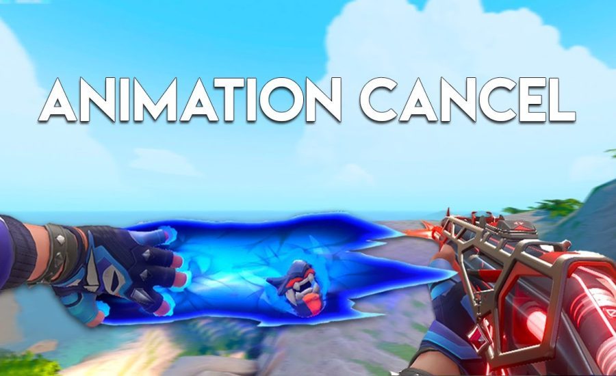 Fine Riot, I'll Use Yoru Animation Cancel