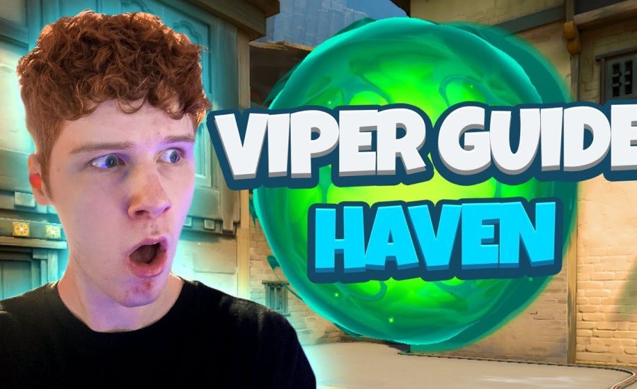 How a VIPER MAIN Plays on HAVEN (NEW Viper Buffs)