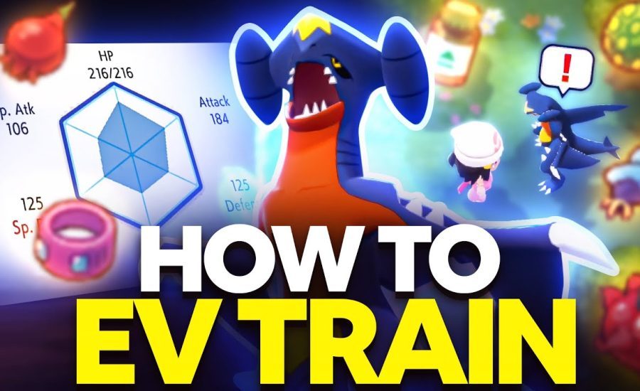 How to EV Train in Pokemon Brilliant Diamond and Shining Pearl - EV Training Guide