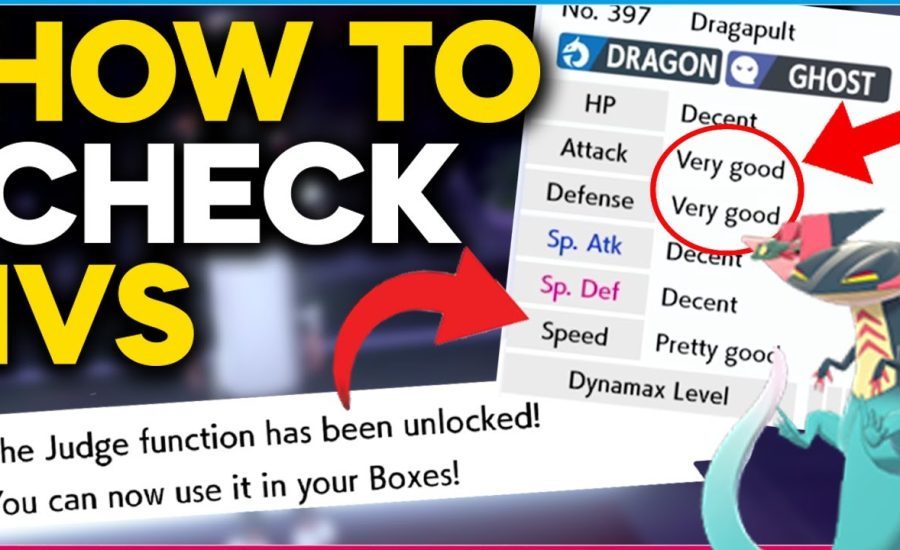 How to check your Pokemon IVs in Pokemon Sword & Shield | Pokemon IV Guide