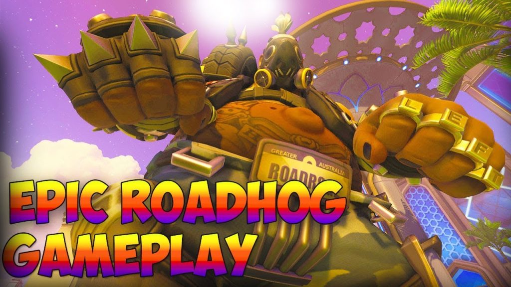 INSANE OVERWATCH ROADHOG GAMEPLAY - HOW TO PLAY WITH ROADHOG OVERWATCH TIPS AND TRICKS - ZYNETRIX