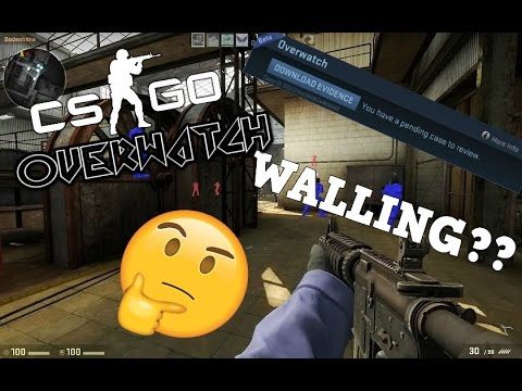 IS HE WALLING OR JUST BETTER?? | CSGO OVERWATCH
