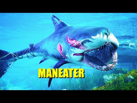 Maneater! - 12  Minutes of Gameplay (4K)  Ryzen 9 3900x - RX 5700 XT