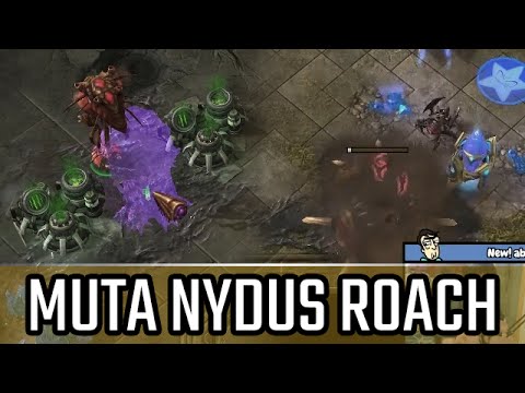 Muta Nydus Lurker l StarCraft 2: Legacy of the Void Ladder l Crank