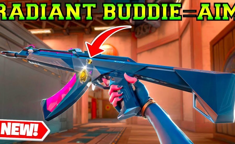 *New* RADIANT Buddie Gave Me +100 AiM Points - Valorant