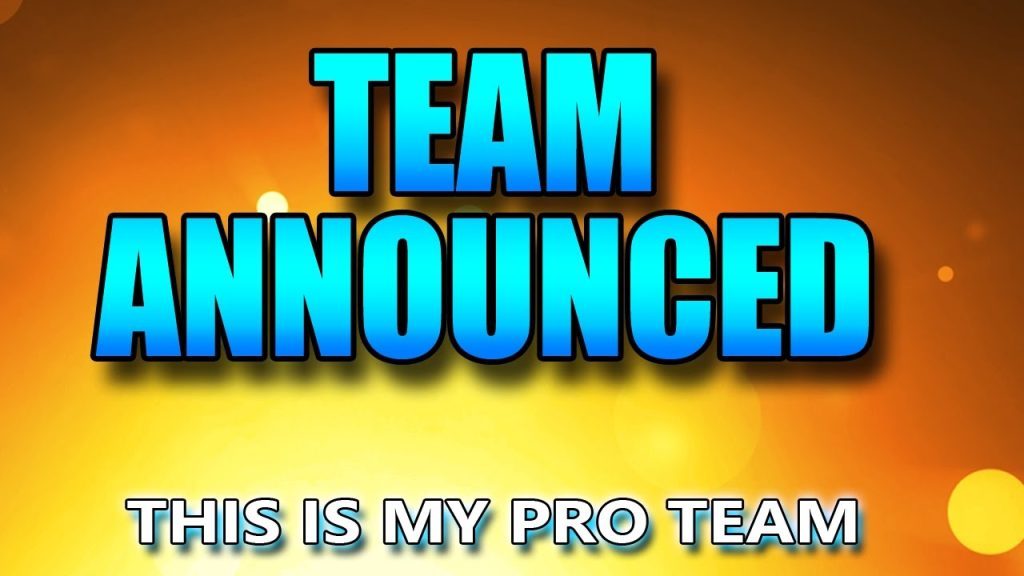 Overwatch - Team Announced