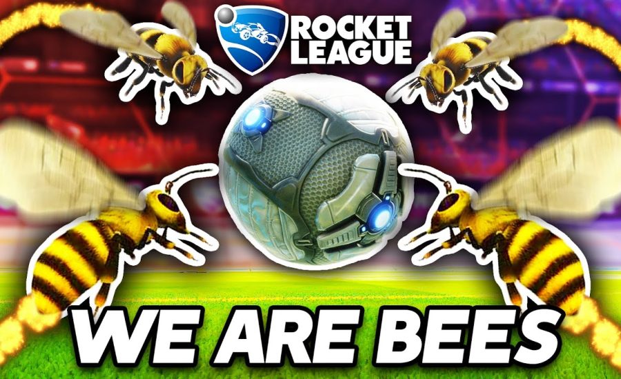 ROCKET LEAGUE, BUT WE'RE ALL BEES