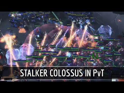 StarCraft 2: Stalker Colossus in PvT