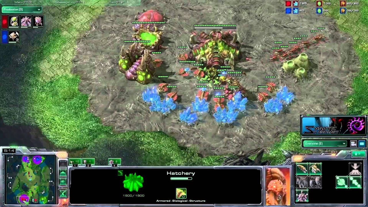 Starcraft 2 [HD] Sanatic vs vVvXog