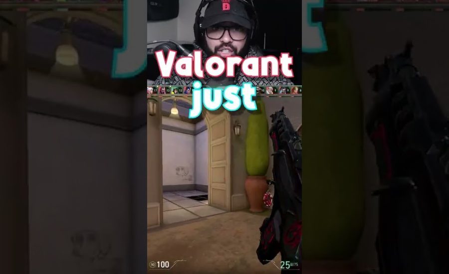THEY ADDED BOTS TO VALORANT