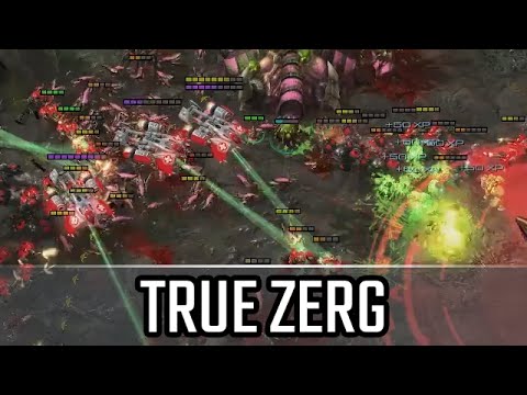 TRUE Zerg l StarCraft 2: Legacy of the Void Ladder l Crank