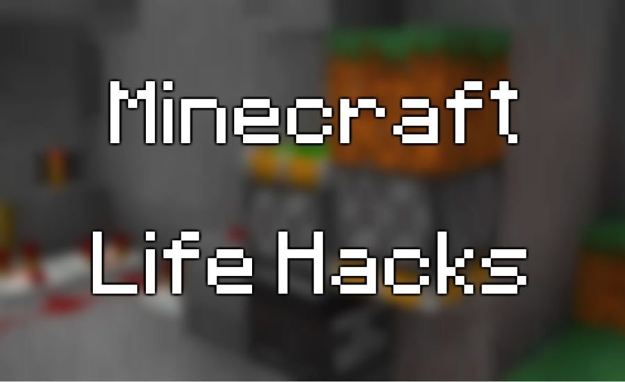 Troom Troom Life Hacks But In Minecraft