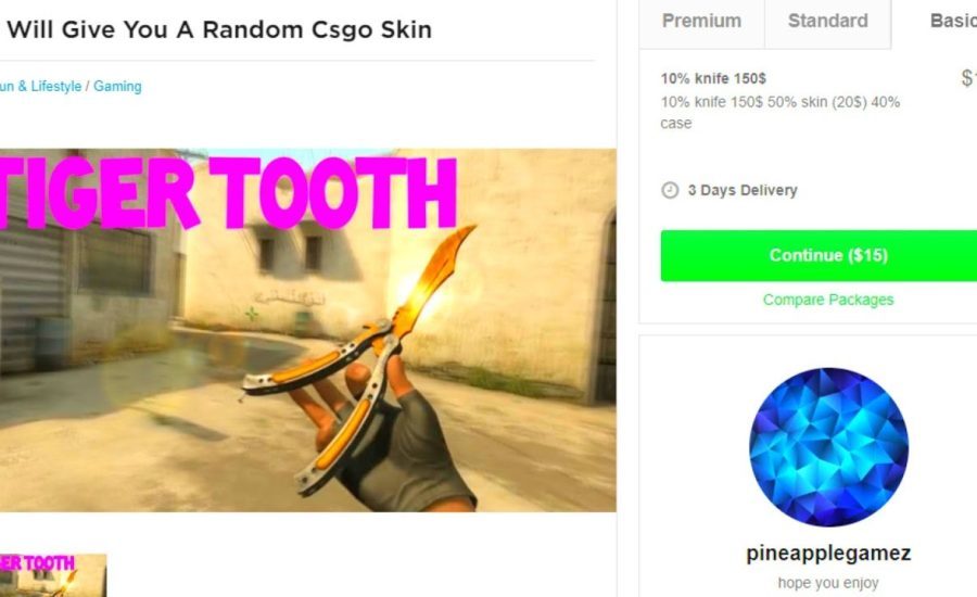 i BOUGHT a mystery cs:go skin on fiverr for $10 (this ACTUALLY shocked me..)