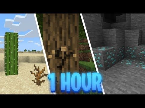 1 Hour of Minecraft Survival Gameplay | 1080p 60fps