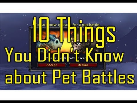 10 Things you Probably Didn't Know about Pet Battles