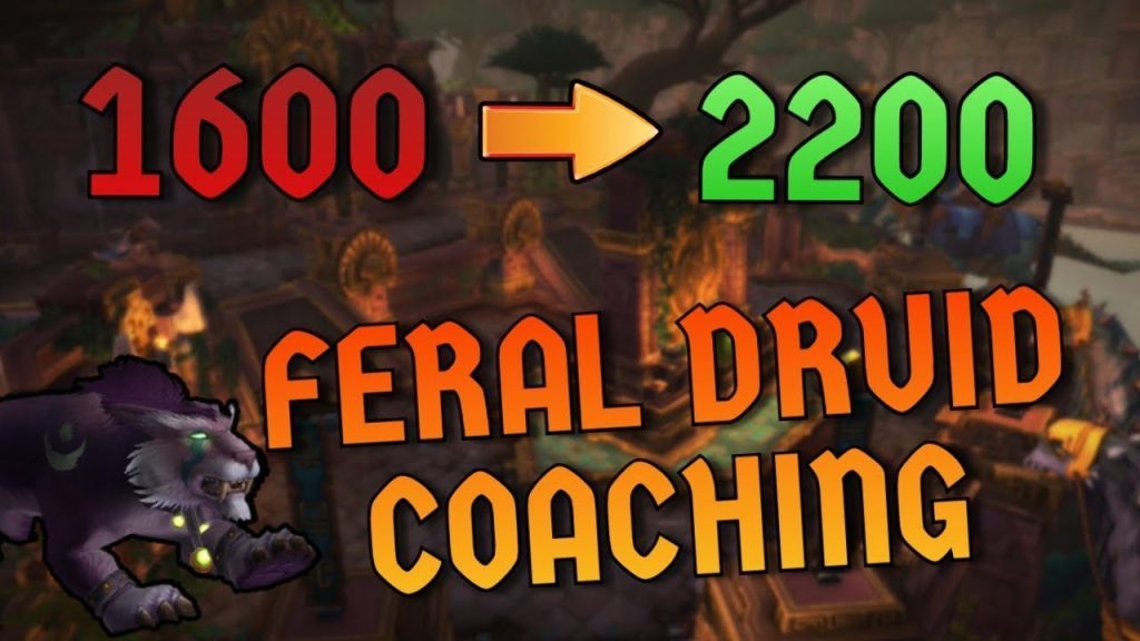 1600 to 2200 in 1 HOUR Coaching a Feral Druid