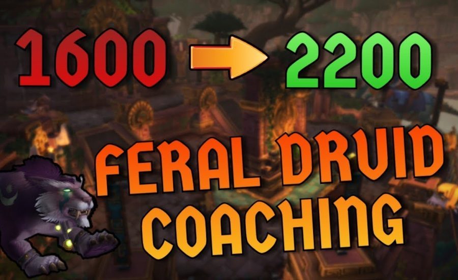 1600 to 2200 in 1 HOUR Coaching a Feral Druid