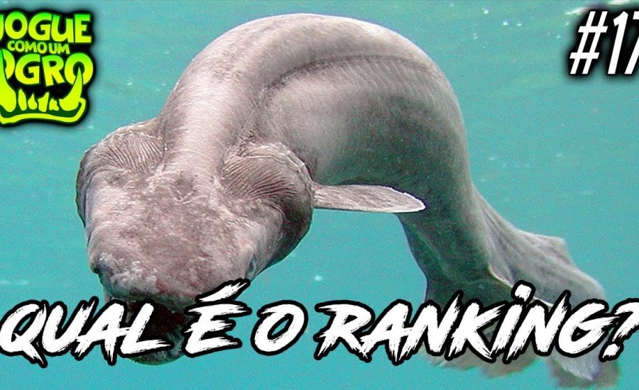 CLASSIFIQUE ESTE ANIMAL #17 (ft. Liko) - QUAL SEU RANKING NO OVERWATCH