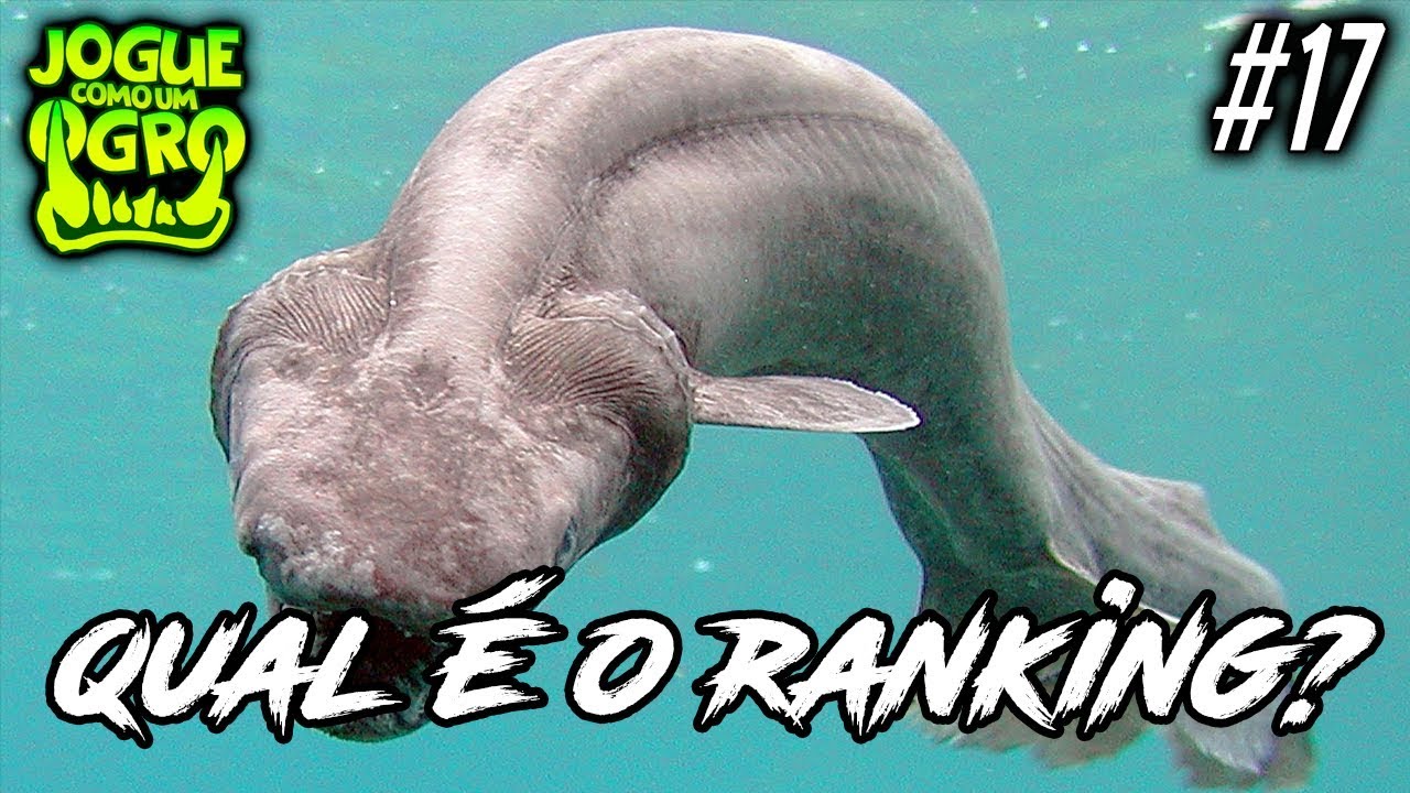 CLASSIFIQUE ESTE ANIMAL #17 (ft. Liko) - QUAL SEU RANKING NO OVERWATCH