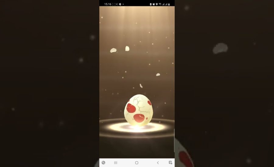 Hatch Egg - Pokemon Go