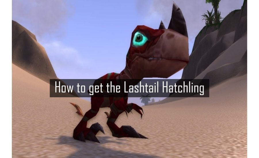 How To Get The Lashtail Hatchling Battle Pet