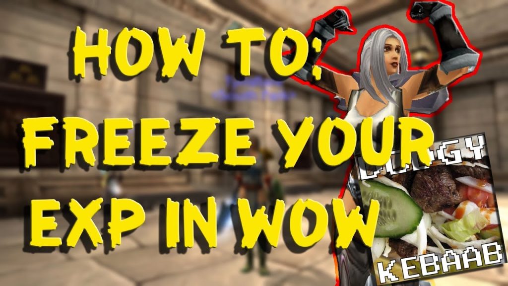 How to freeze your Exp in WoW