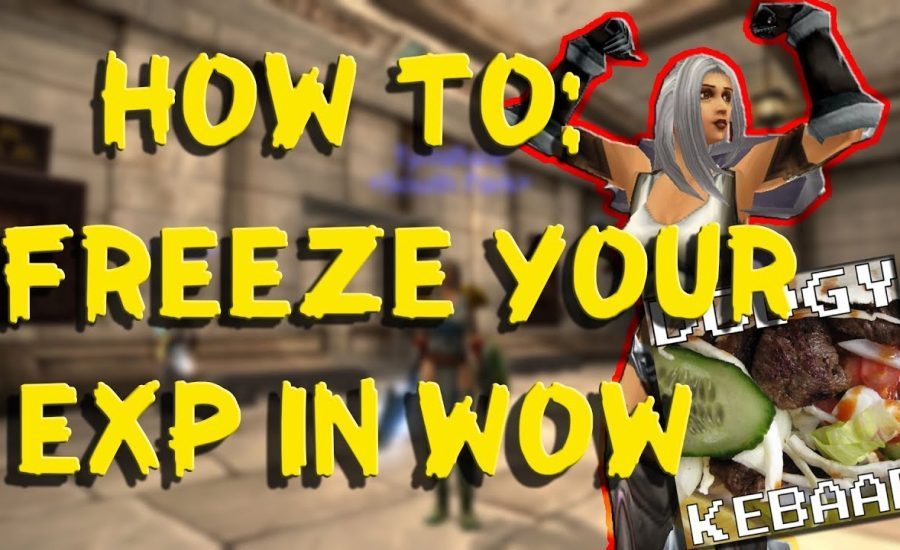 How to freeze your Exp in WoW